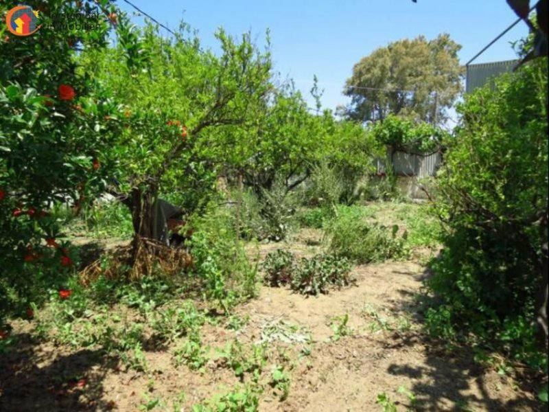 Sitia Kreta, Sitia, Haus mit großem Garten in Strandnähe zu verkaufen in Sitia Haus kaufen